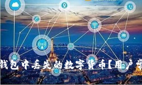 如何处理TP钱包中丢失的数字货币？用户常见问题解答