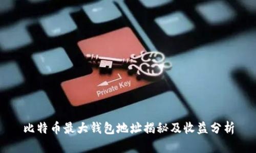 比特币最大钱包地址揭秘及收益分析