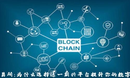 
了解TRC10交易所：为什么选择这一新兴平台提升你的数字资产投资收益