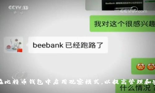 如何在比特币钱包中启用观察模式，以提高管理和安全性