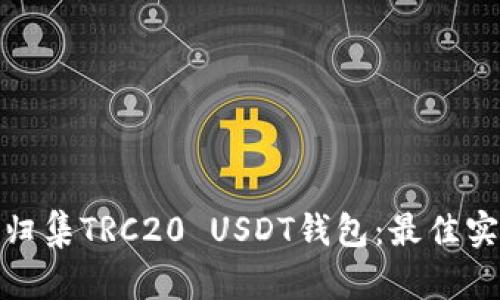 如何高效归集TRC20 USDT钱包：最佳实践与策略