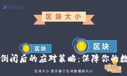 以太坊钱包倒闭后的应对策略：保障你的数字资产安全