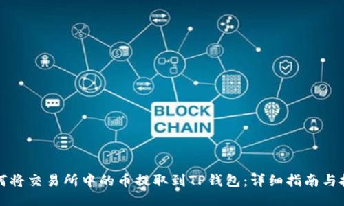 如何将交易所中的币提取到TP钱包：详细指南与技巧