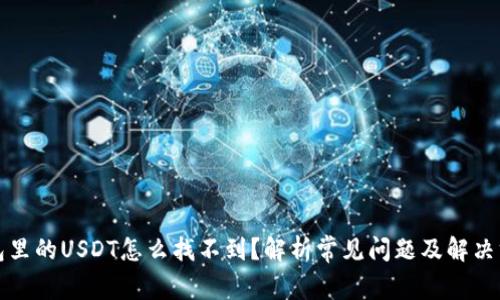 钱包里的USDT怎么找不到？解析常见问题及解决方案