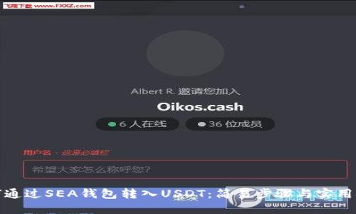 如何通过SEA钱包转入USDT：简易步骤与实用技巧