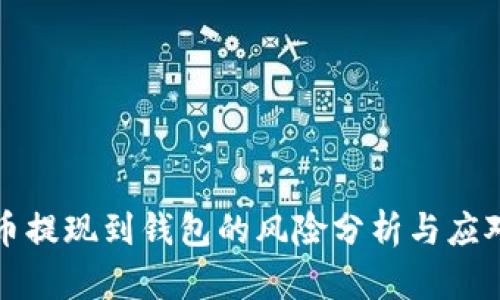 虚拟币提现到钱包的风险分析与应对策略