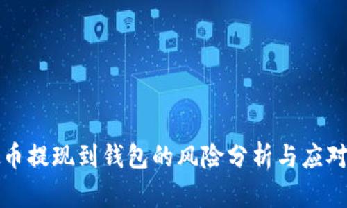 虚拟币提现到钱包的风险分析与应对策略
