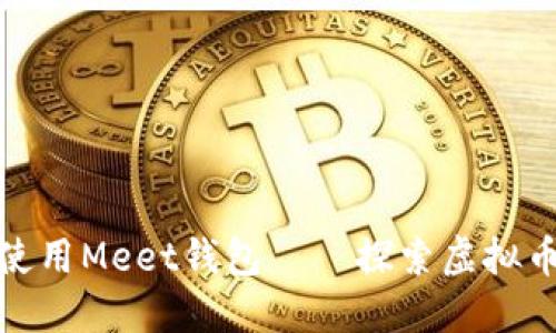 如何安全下载和使用Meet钱包——探索虚拟币管理的最佳选择