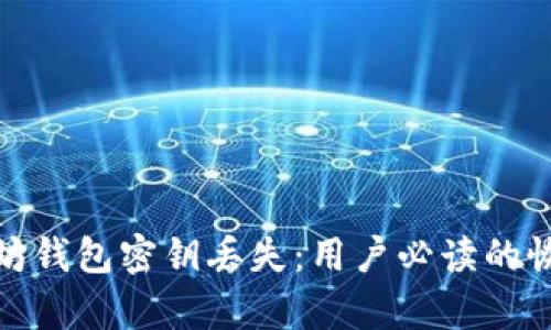 如何应对以太坊钱包密钥丢失：用户必读的恢复与保护策略