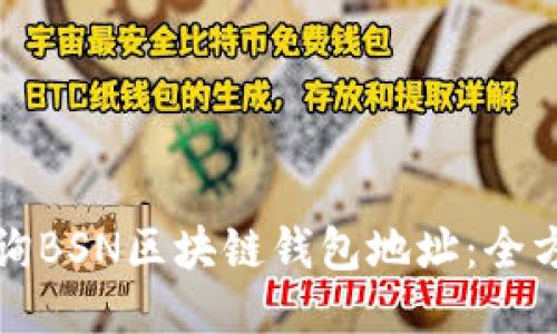 如何查询BSN区块链钱包地址：全方位指南