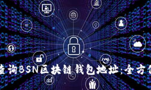 如何查询BSN区块链钱包地址：全方位指南