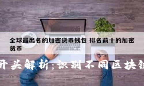 区块链钱包地址开头解析：识别不同区块链钱包类型的技巧