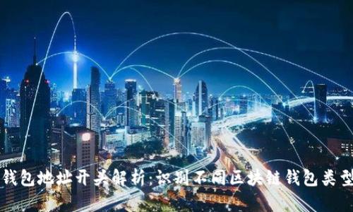 区块链钱包地址开头解析：识别不同区块链钱包类型的技巧