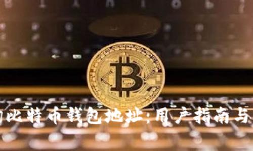 如何查询比特币钱包地址：用户指南与注意事项