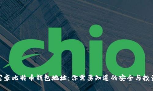 揭秘富豪比特币钱包地址：你需要知道的安全与投资策略