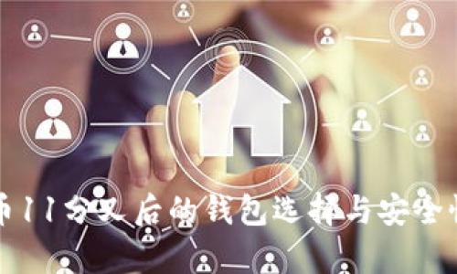 比特币11分叉后的钱包选择与安全性分析