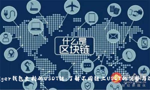 Ledger钱包支持的USDT链：了解不同链上USDT的优势与选择