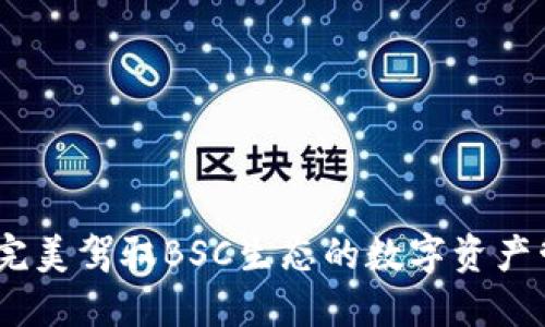 TP钱包：完美驾驭BSC生态的数字资产管理工具