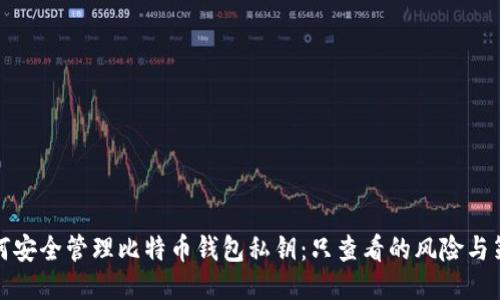 如何安全管理比特币钱包私钥：只查看的风险与策略