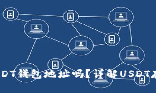 USDT转账必须使用USDT钱包地址吗？详解USDT存储与转账的核心要点