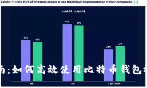 新手指南：如何高效使用比特币钱包视频教程