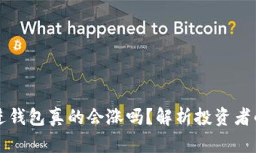 虚拟币放进钱包真的会涨吗？解析投资者的真实收益