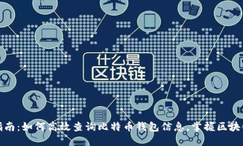 全面指南：如何高效查询比特币钱包信息，掌握区块链数据
