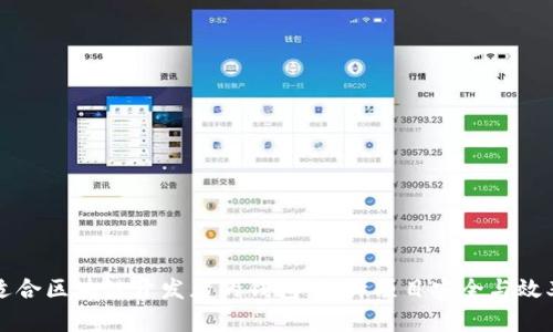 如何选择最适合区块链开发者的钱包：提升项目安全与效率的终极指南