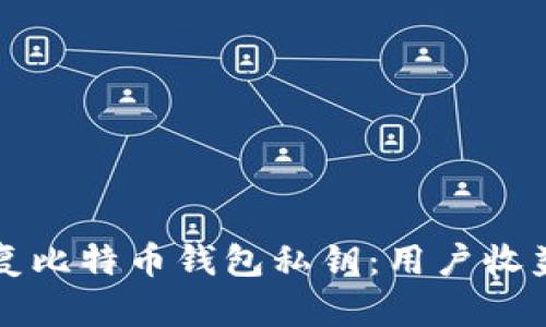 如何安全恢复比特币钱包私钥：用户收益与详尽指南