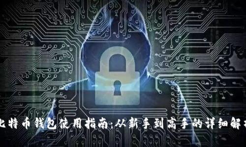 比特币钱包使用指南：从新手到高手的详细解析