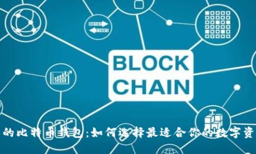 全球最热门的比特币钱包：如何选择最适合你的数字资产管理工具
