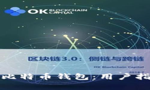 如何有效修复比特币钱包：用户指南与实用技巧