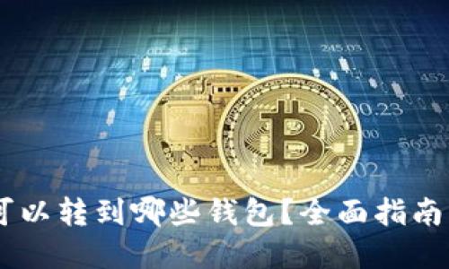 USDT可以转到哪些钱包？全面指南与建议