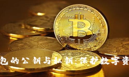 深入了解TP钱包的公钥与私钥：保护数字资产安全的关键