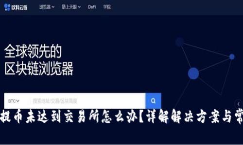 TP钱包提币未达到交易所怎么办？详解解决方案与常见问题