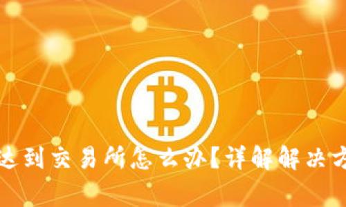 TP钱包提币未达到交易所怎么办？详解解决方案与常见问题