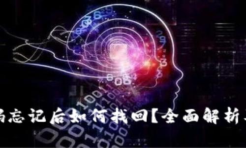 TP钱包密码忘记后如何找回？全面解析及解决方案