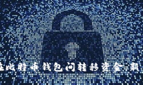 如何安全高效地在比特币钱包间转移资金：新手指南与最佳实践