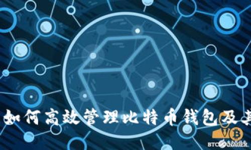 Win7用户如何高效管理比特币钱包及其路径设置